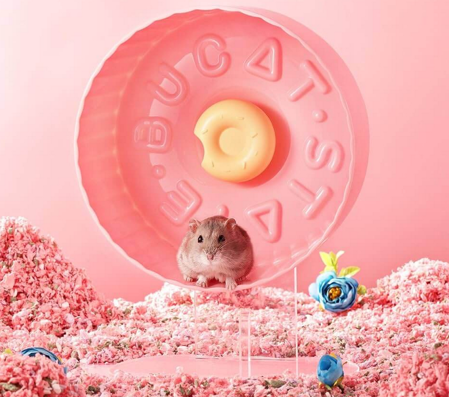Hamster Exercise Wheel (Silent Spin)